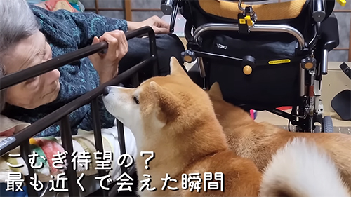 待望のひいばあちゃん