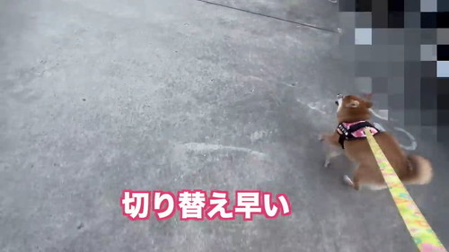 切り替えが早い