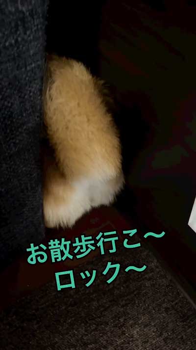 明るく話しかけるママ