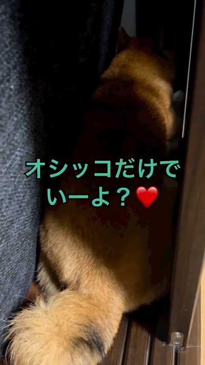 外に出てほしいママ