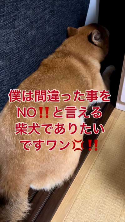 おやつを言うと……