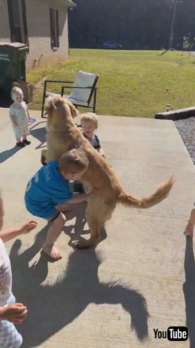 「No One Gets Between A Dog And Her Bubbles || ViralHog」