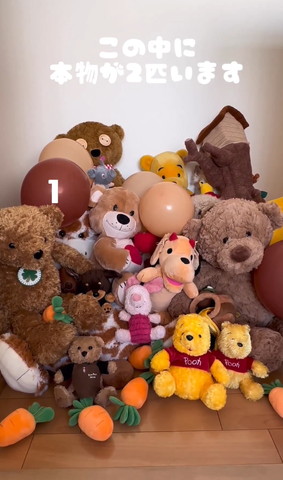 ぬいぐるみだらけの写真数字1