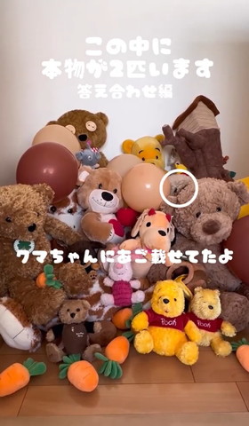 クマちゃんにアゴのせてたよテロップ