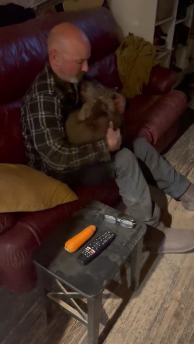 抱っこされるウォンバット