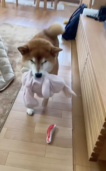 オススメ