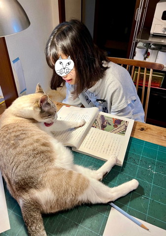 本に前足乗せる猫