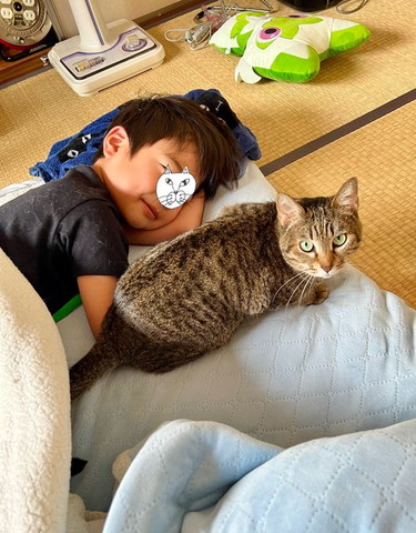 息子とくつろぐキジトラ猫