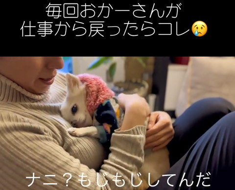 なにもじもじしてんだテロップ