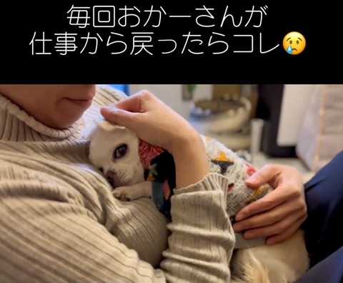 お母さんの胸に顔うずめてカメラ目線