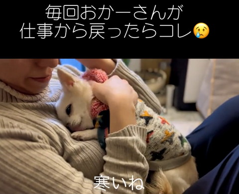 寒いねテロップ