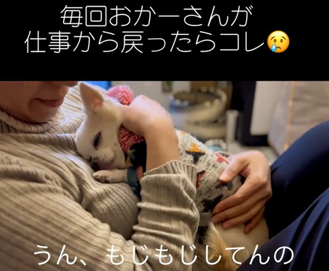 うんもじもじしてんの