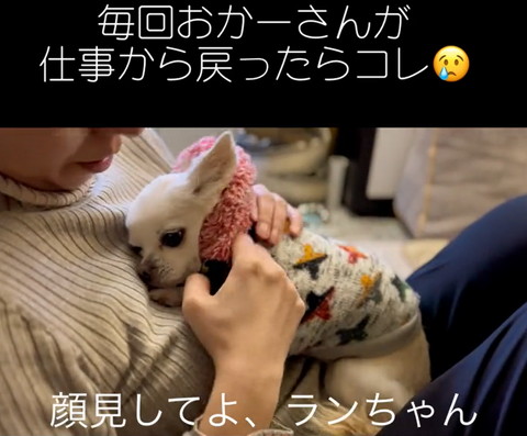 顔見してよテロップ