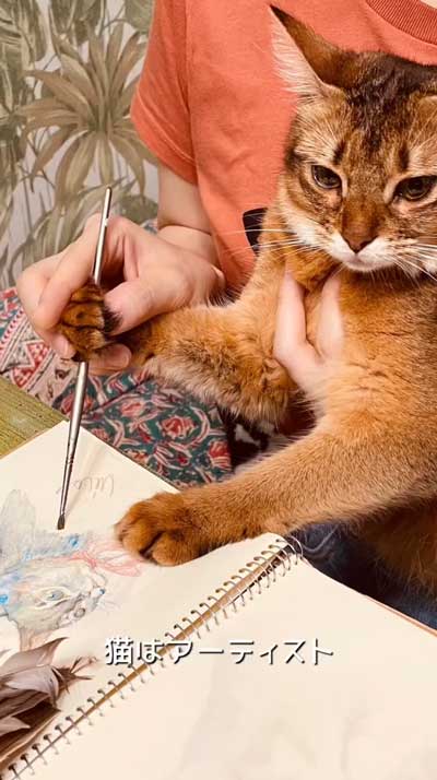 猫 飼う前 覚悟 いたずら 作品 アーティスト ソファ ふすま 穴