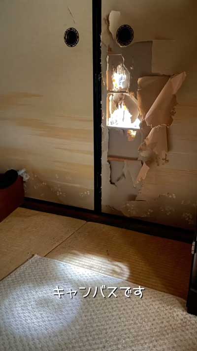 猫 飼う前 覚悟 いたずら 作品 アーティスト ソファ ふすま 穴