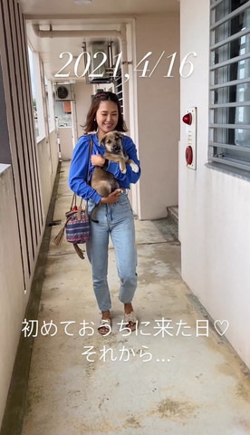 子犬抱っこしてる飼い主緊急ボタン横
