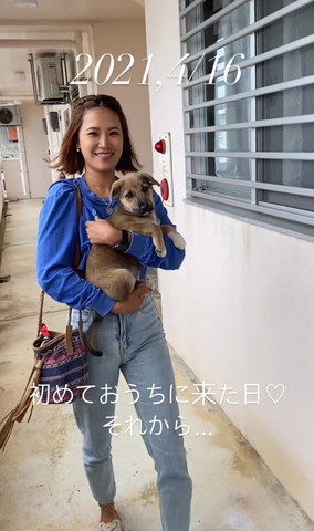 子犬抱っこしてる飼い主緊窓横