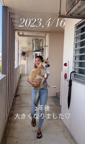 大きなワンコ抱っこしてる飼い主緊急ボタン横