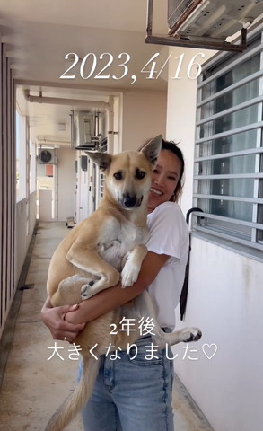 抱っこされてる大きなワンコカメラ目線