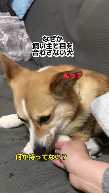 何か持ってない？