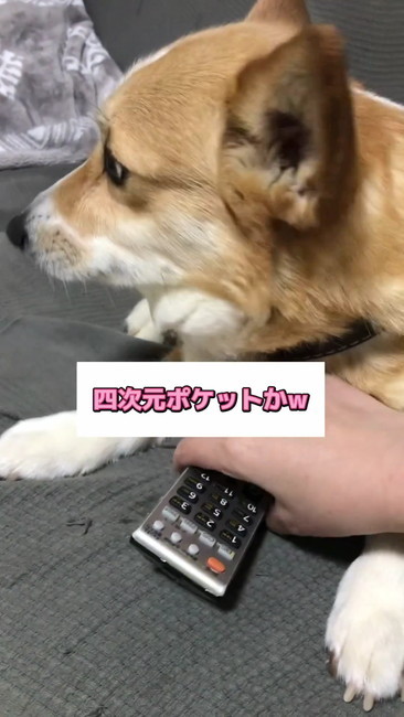 四次元ポケット