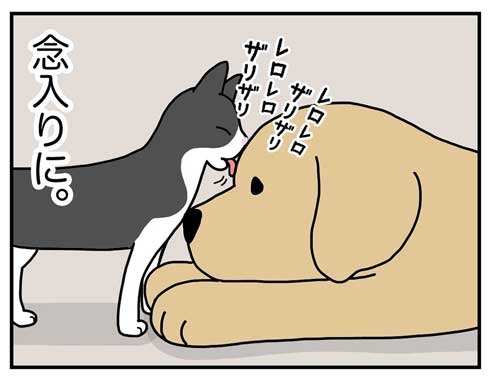 すぐには終わらないヘアーメイク