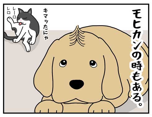仕事をやりきった猫