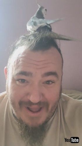 頭にインコが乗る男性