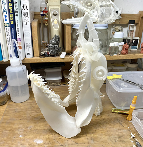 標本 勉強机 サメ