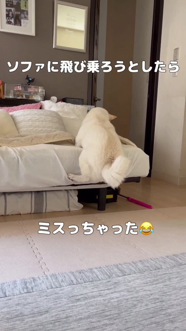 ミスっちゃった