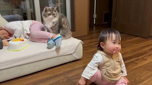 さりげなく姉妹に寄り添う猫ちゃん