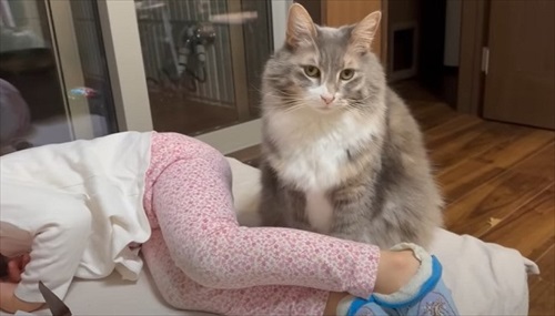 さりげなく姉妹に寄り添う猫ちゃん