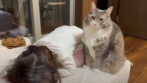 さりげなく姉妹に寄り添う猫ちゃん