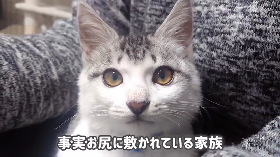 みんなメロメロ