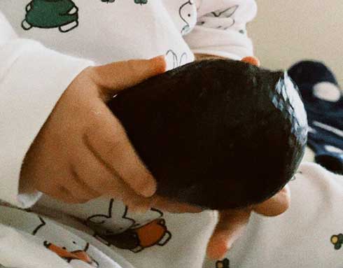 アボカド ぶっ叩かれて起きた 起こされる 子ども ママ 叩く 果物