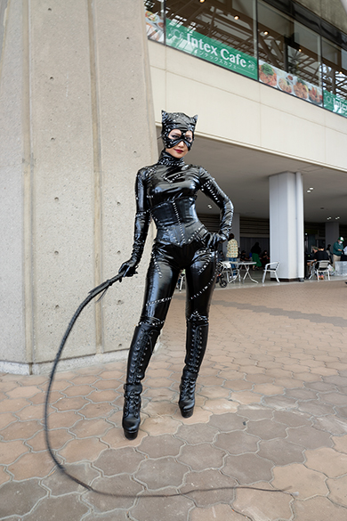 るなちっちのキャットウーマン