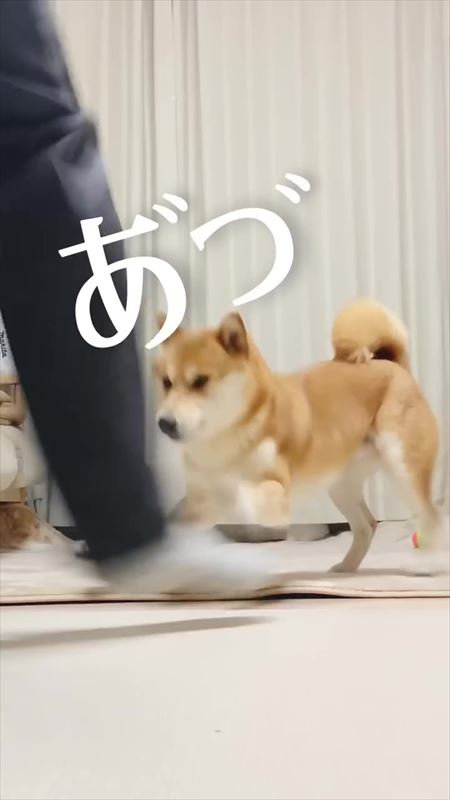 おすすめ