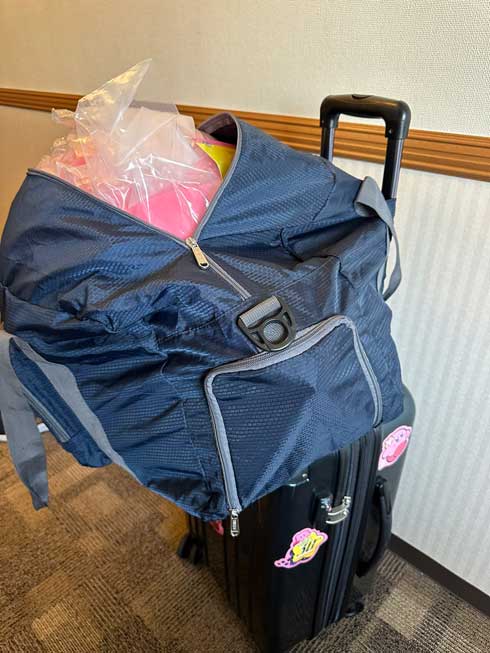 遠征 カービィ 1番くじ A賞 巨大 ぬいぐるみ 荷物