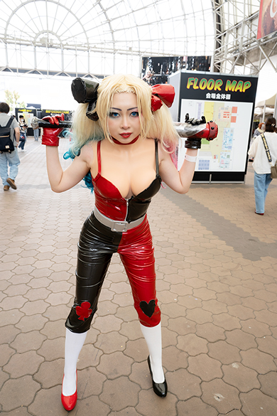 kaiのハーレイ・クイン