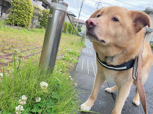 家に帰りたくない