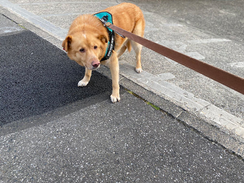 あっちに行きたい