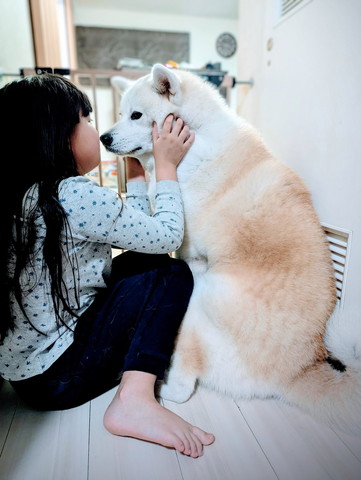 見つめ合うワンコと娘さん