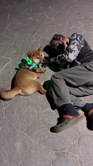 なんとか言って