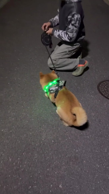 ごろんする前に……