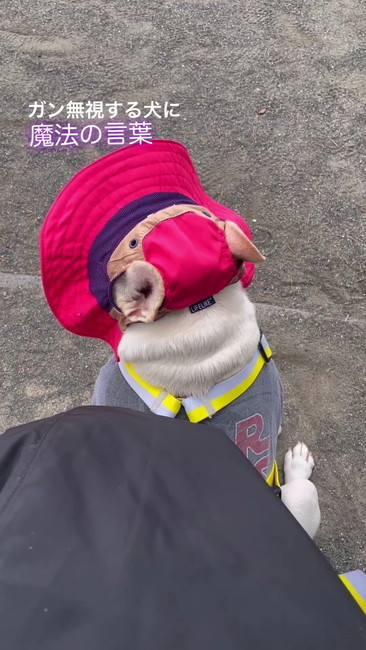 左向き