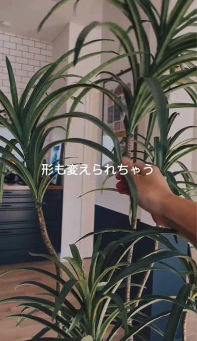 本物そっくりなフェイクグリーンのインテリアがおしゃれ