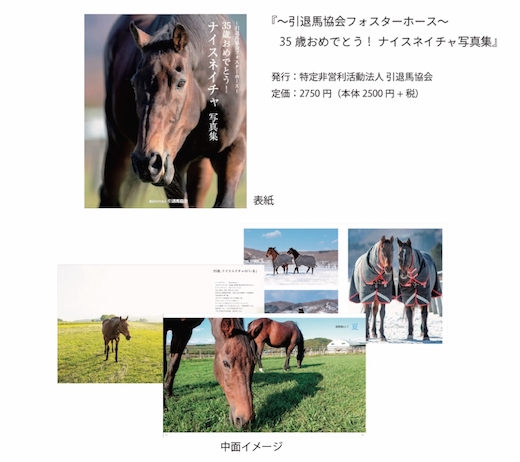 ナイスネイチャ 写真集 35歳 引退馬