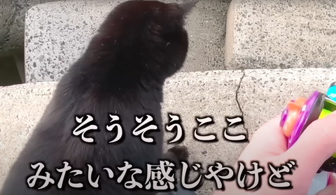 そうそうここテロップ