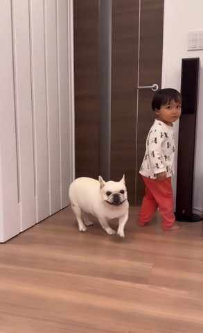 走り出すワンコ