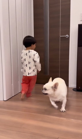 左に息子右にワンコ走ってる